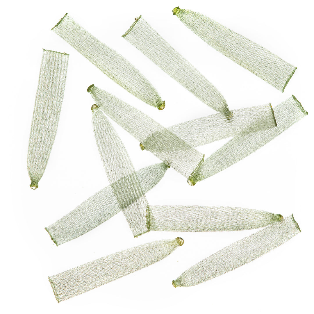 EP Soft Shell Crab Body