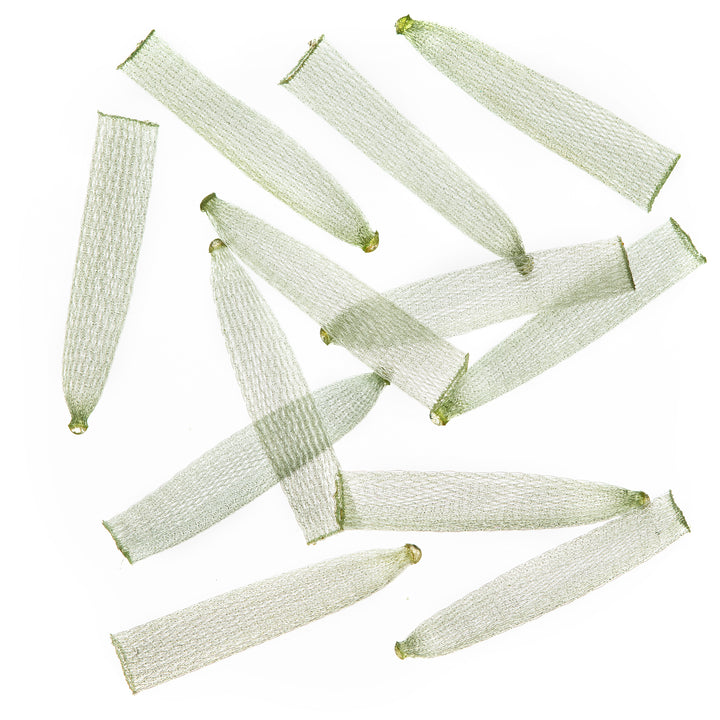 EP Soft Shell Crab Body