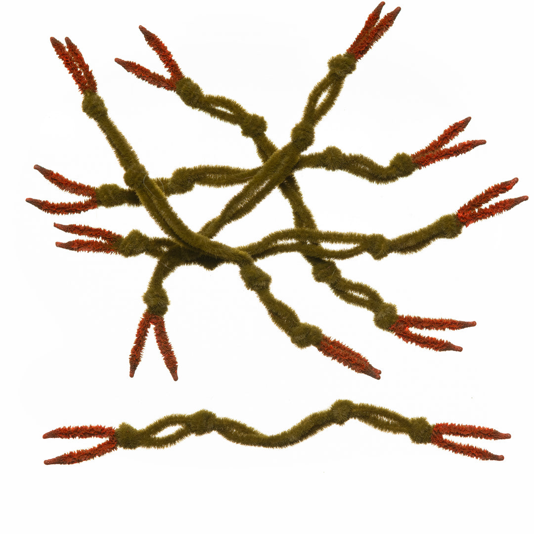 EP Crab Claw- Olive Brown