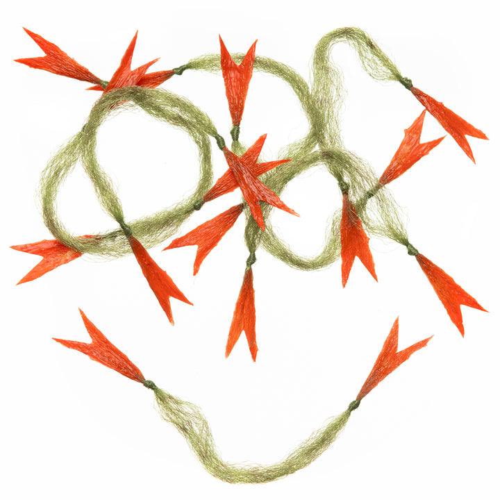EP CRUSTACEOUS CLAW