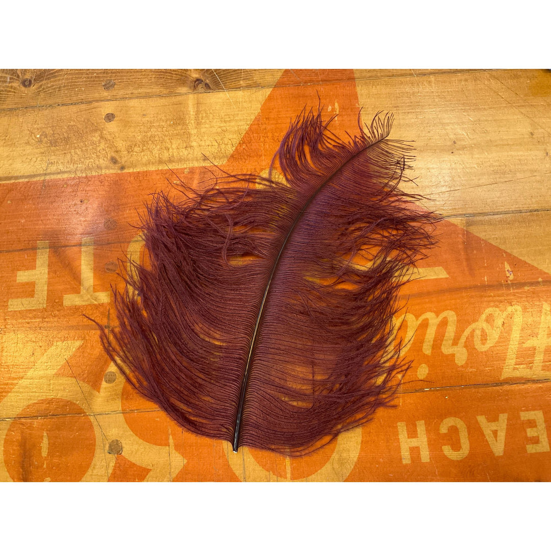 Ostrich Plume - All Colors