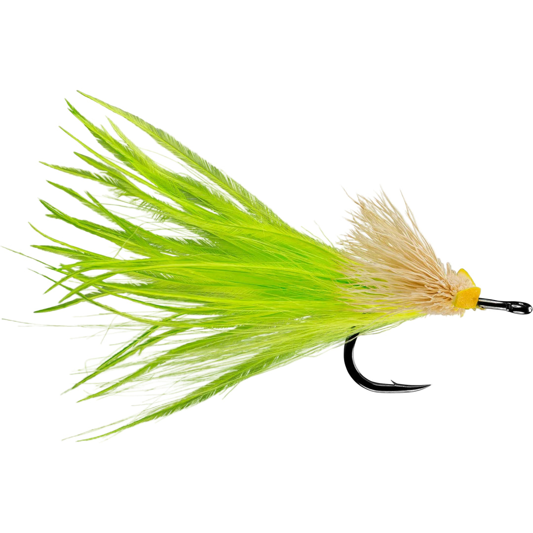 Rio's Dread Pirate - All Colors