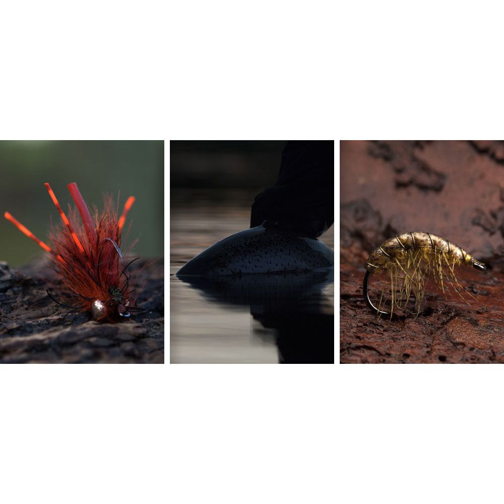 Ahrex- NS172 Curved Gammarus