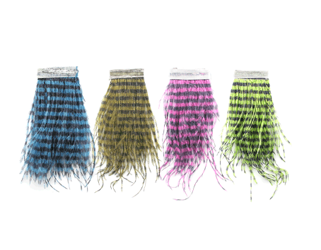 MFC - Strung Barred Ostrich