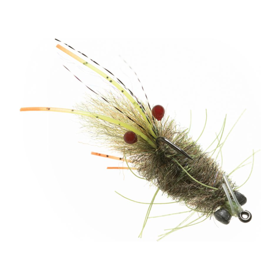 Enrico Puglisi Mantis Shrimp - Olive #6