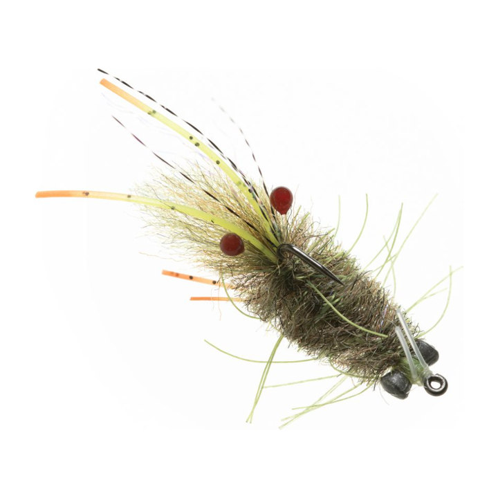 Enrico Puglisi Mantis Shrimp - Olive #6