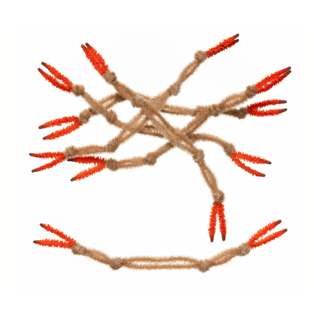 EP Crab Claw (Large) - Tan