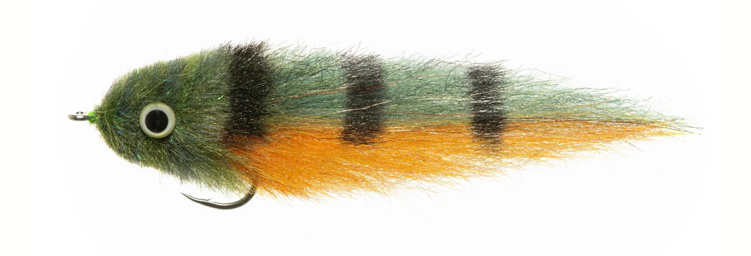 EP- BABY PEACOCK 4/0