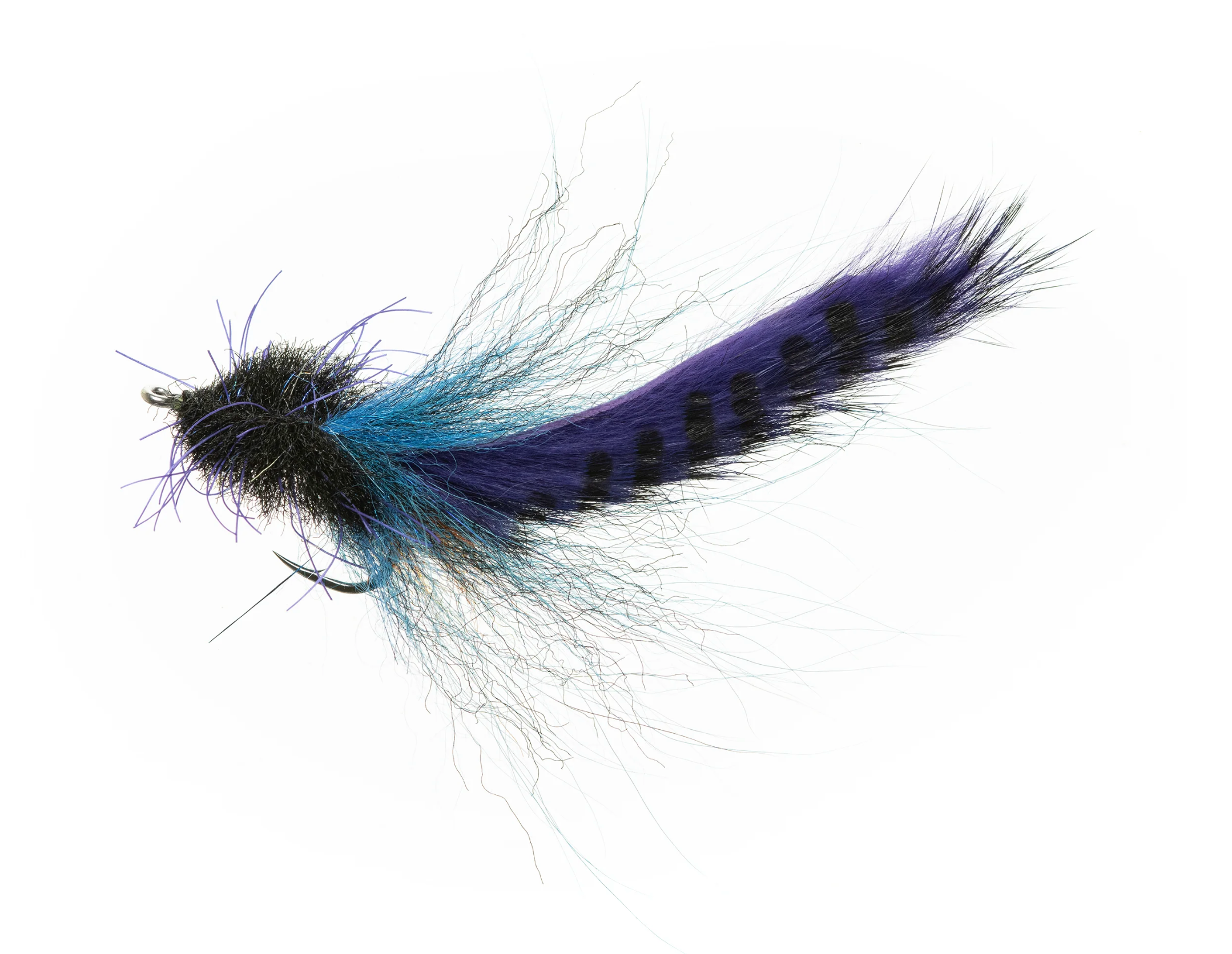 Flies