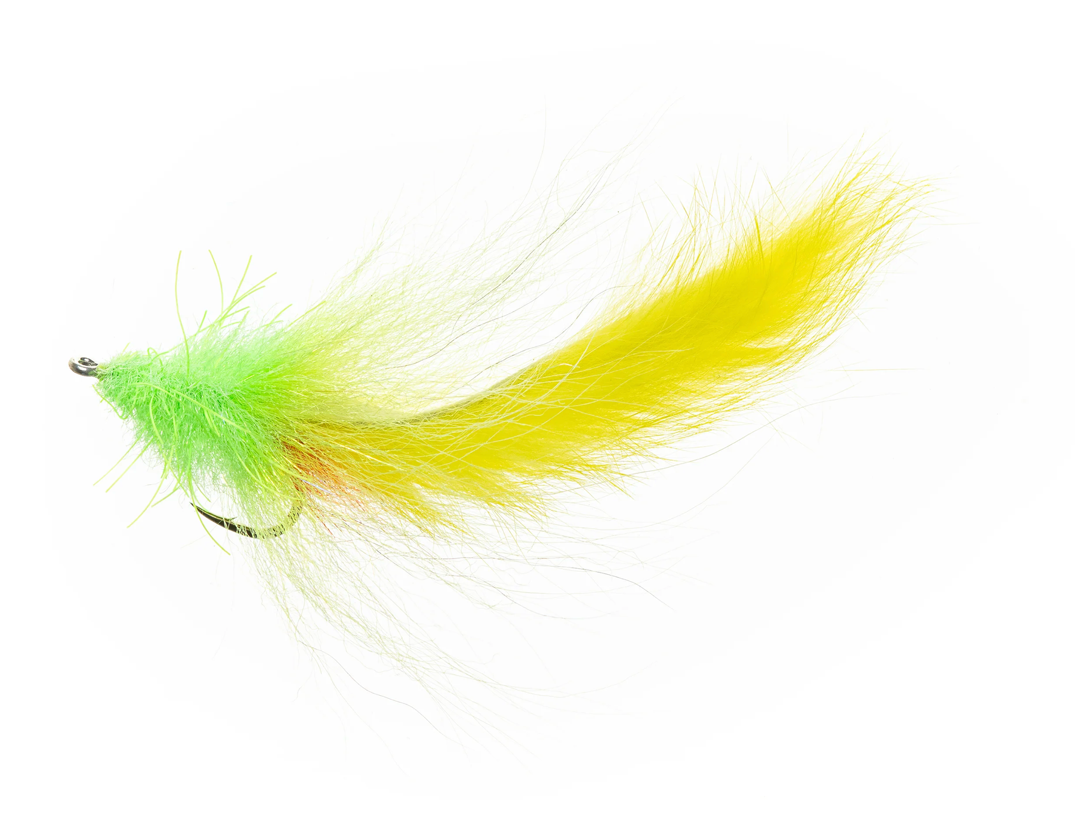 Flies