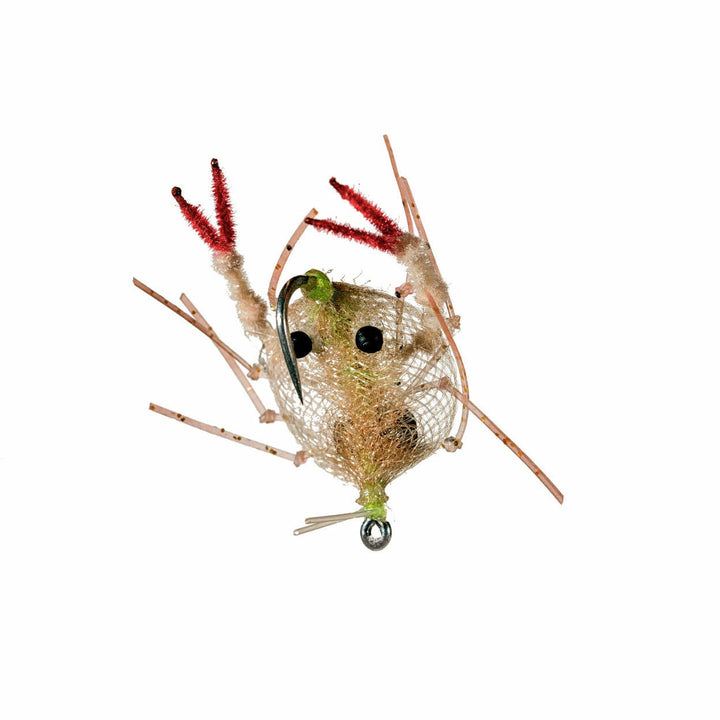 Enrico Puglisi Descendent Crab - Tan #4