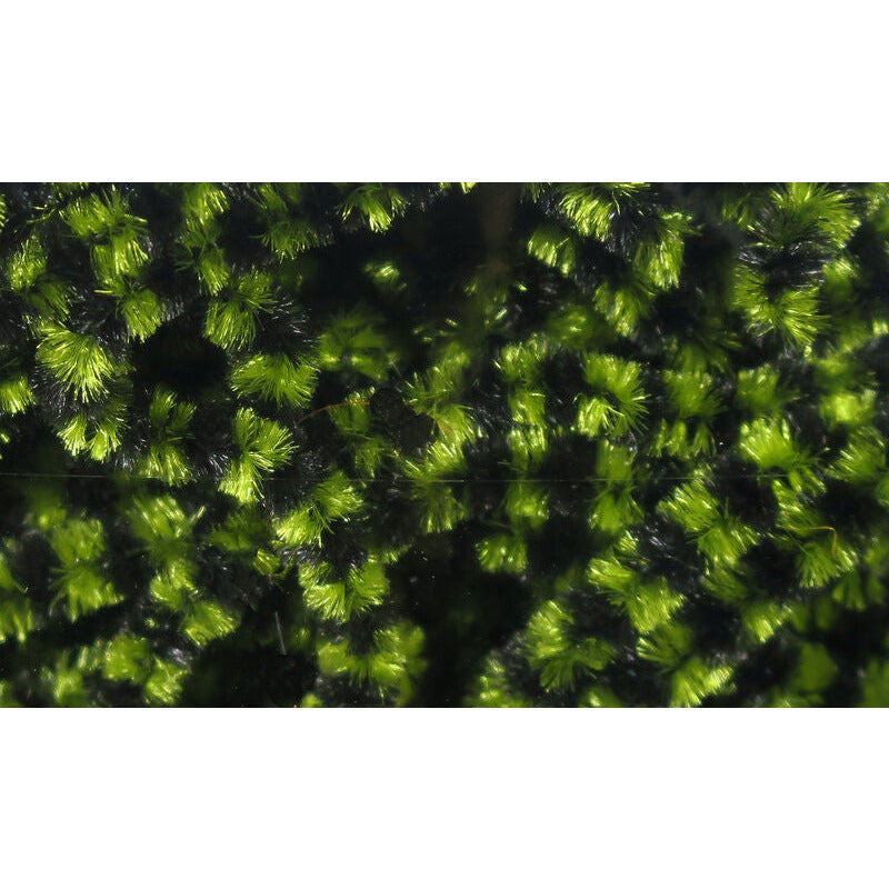 Stonefly Chenille - Small