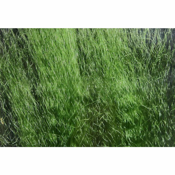 UV2 Super Hair - All Colors